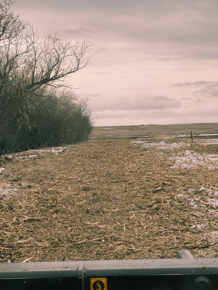 whatsapp image 2026 01 02 at 10.34.46 pm