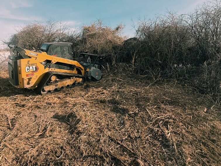 whatsapp image 2026 01 02 at 10.34.47 pm (1)