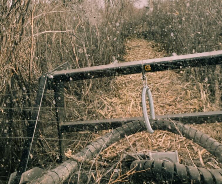 whatsapp image 2026 01 02 at 10.34.47 pm